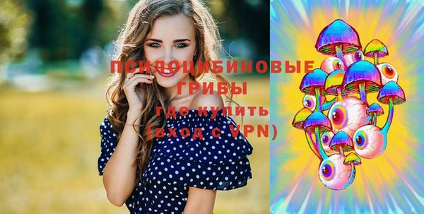 амф Майский