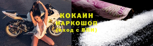 шишки Магадан