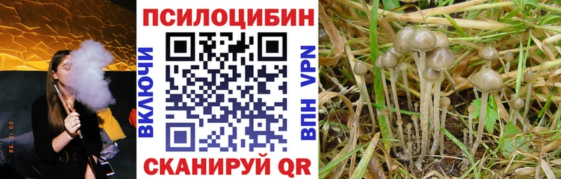 Галлюциногенные грибы GOLDEN TEACHER  Купить  Аркадак 